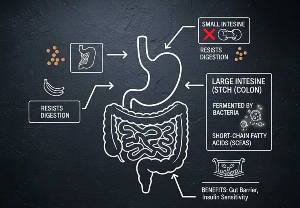 resistant starch