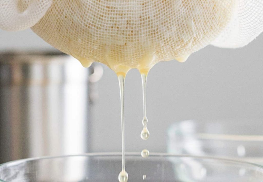 Analyzing whey protein alternatives during the global dairy supply crisis