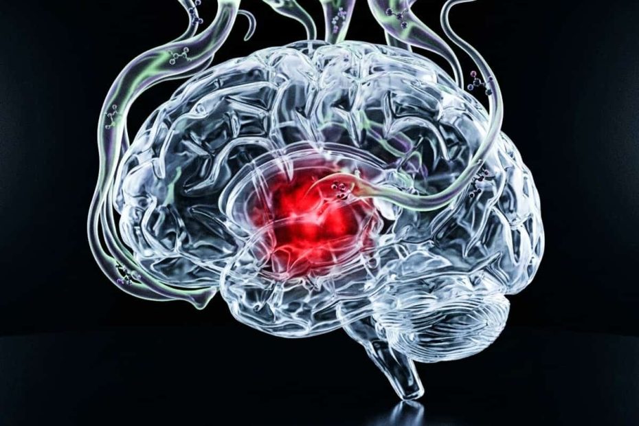 A transparent human brain with a glowing red core in the hypothalamus, showing synthetic industrial fibers infiltrating the neural structure.