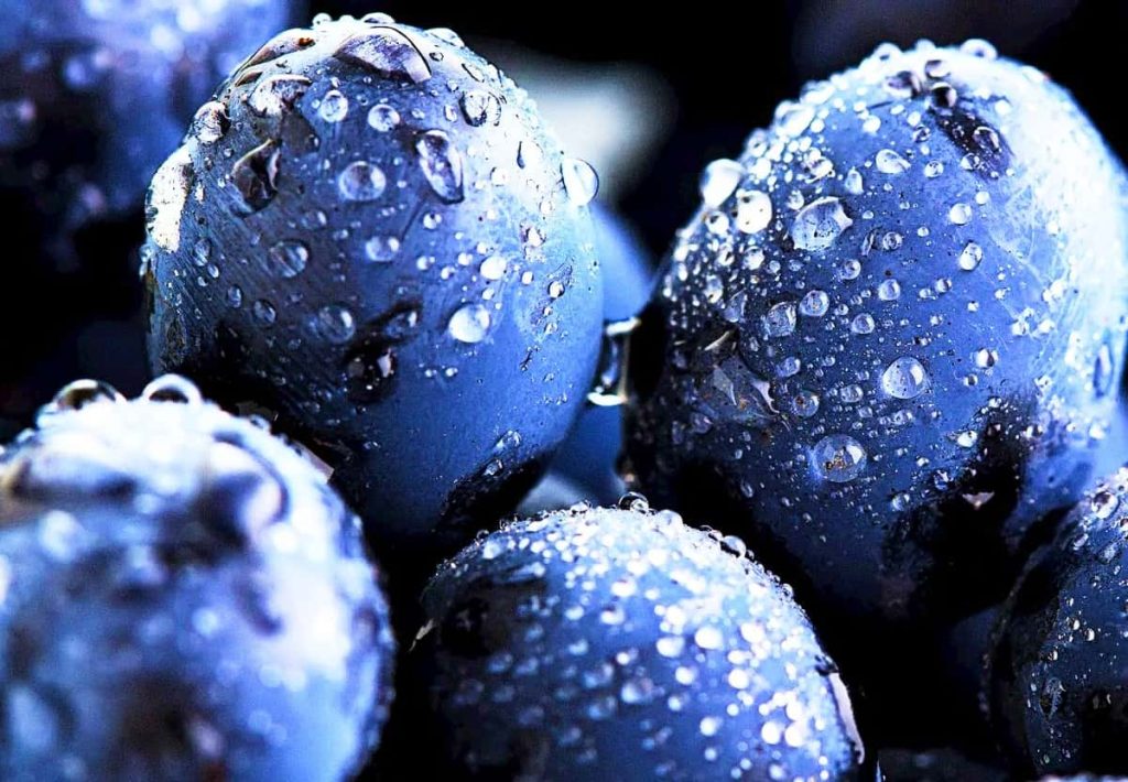 Extreme close-up of fresh blueberries covered in glistening water droplets against a dark background.