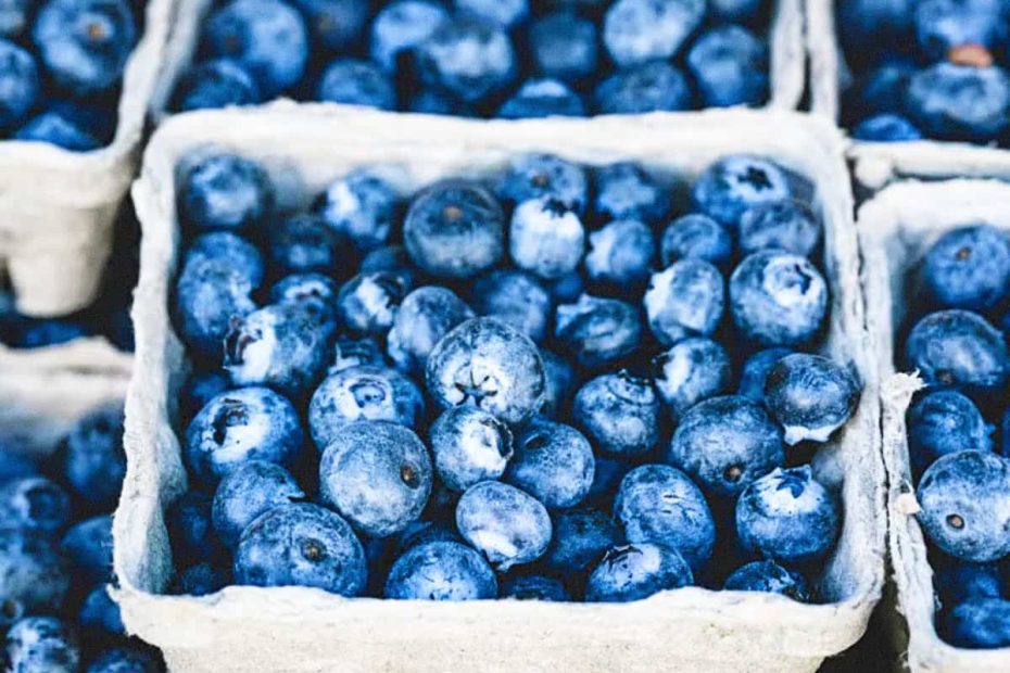 Multiple small cardboard baskets filled to the brim with fresh blue blueberries at a market.