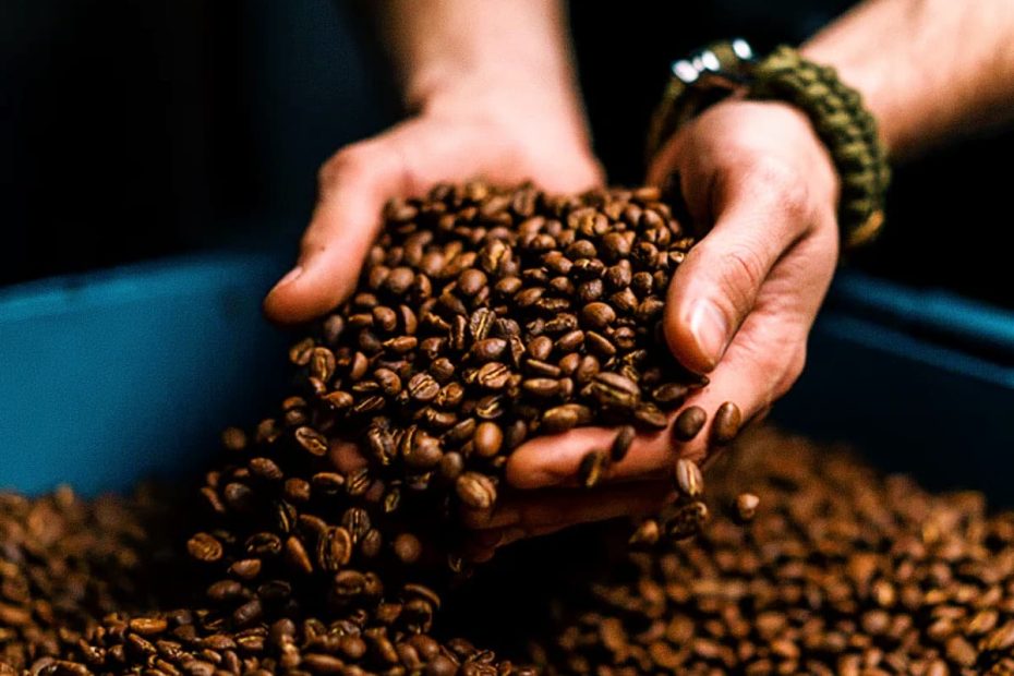 Close-up of a person's hands holding a large handful of roasted brown coffee beans over a container.
