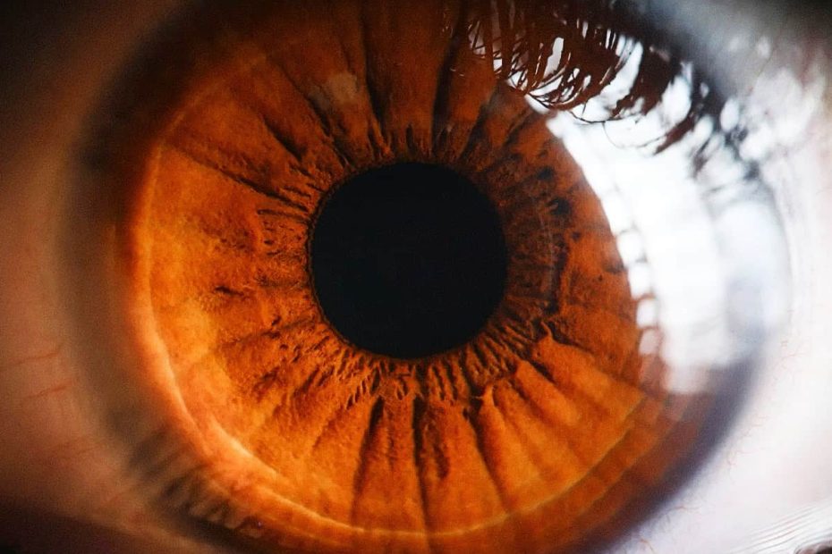 Extreme macro close-up of a human eye showing the intricate patterns of the brown iris and the pupil.