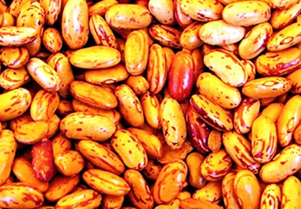 A close-up texture shot of uncooked pinto beans, highlighting their natural patterns and fiber-rich density.