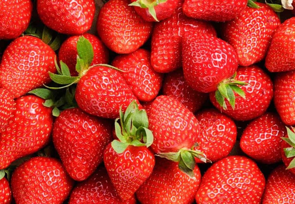 A glass blender being filled with whole strawberries (leaves included), bananas, and oats for a nutrient-dense breakfast.